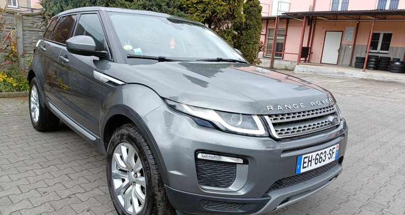 Land Rover Range Rover Evoque cena 59500 przebieg: 107491, rok produkcji 2016 z Pniewy małe 172